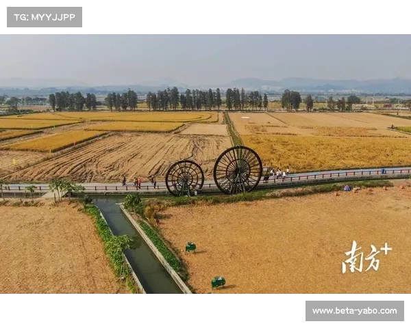 贵州乡村融合板球与农耕文化 打造稻田球场助力乡村旅游发展 贵州乡村融合板球与农耕文化 打造稻田球场助力乡村旅游发展